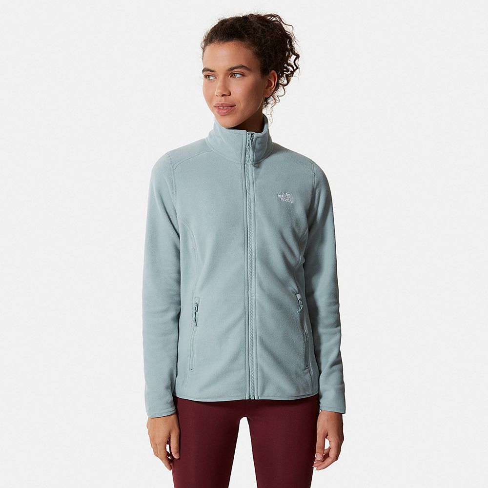 The North Face Fleece Womens Australia - The North Face 100 Glacier Full-Zip Silver Blue Skiing And